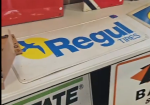 Regul Tires Seagull in Sun SST Embossed Sign