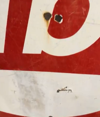 Rambler Parts Service 5 Foot DSP Sign