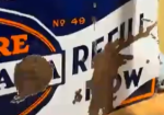 Penno Pennsylvania Oil Drain and Refill Here SSP Sign