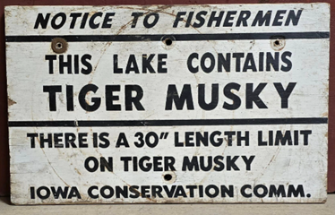 Lake Contains Tiger Musky Iowa Conservation Comm Wood Sign