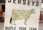 Jerseys Maple Park Farm DST Sign