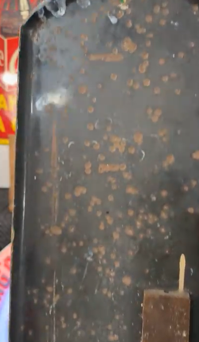 Ward’s Vitovim Bread SSP Tube Thermometer