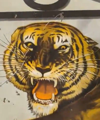 Royal Tailors Chicago New York DST Flange Sign