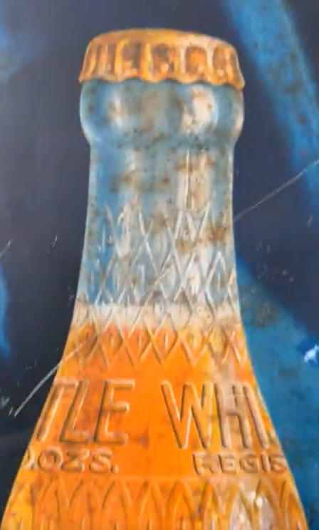 Whistle Orange Soda Shapely Style Bottle Portrait SST Self-Framed Sign