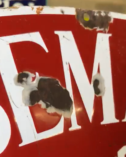 Albemarle Ice and Coal Company SSP Oval Sign