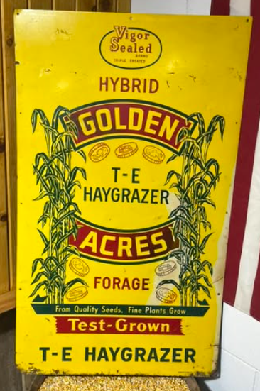 Golden Acres Hybrid Haygrazer Seeds SST Sign
