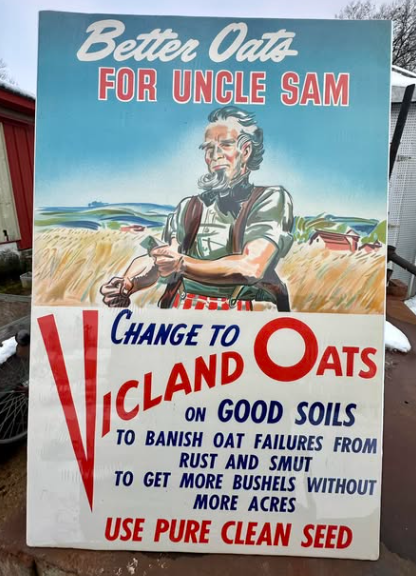 Vicland Oats Use Pure Clean Seed Paper Lithograph Sign