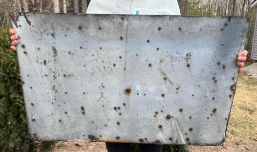 Balsam-Wool Blanket Insulation SSP Sign
