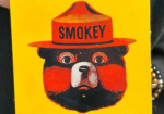 Prevent Forest Fires Smokey Bear Fiberglass Sales Sample Sign