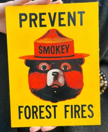 Prevent Forest Fires Smokey Bear Fiberglass Sales Sample Sign