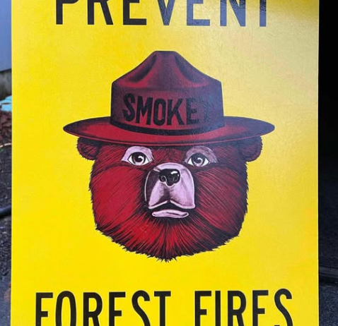 Prevent Forest Fires Fiberglass Sign