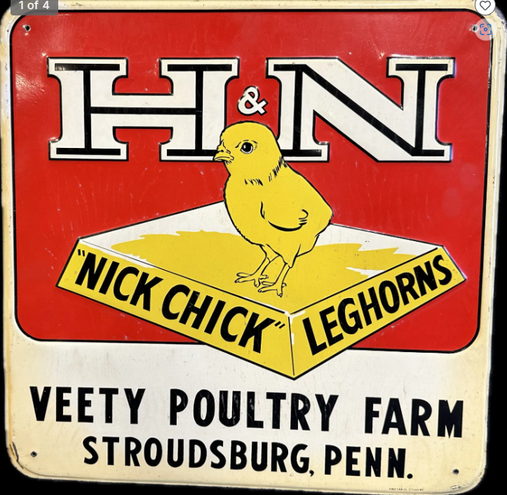 H&N Nick Chick Leghorns Vetty Poultry Farm Stroudsburg Penn Embossed SST Sign