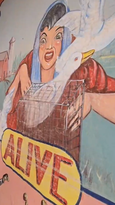 Alive Circus Sideshow Canvas Banner