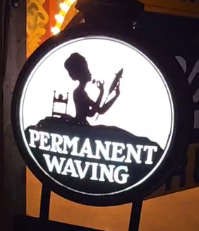 Vanda’s Beauty Studio Permanent Waving Light-Up Double-Sided Globe