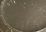 Parmesan Reggiano Cheese Pelagatti SST Embossed Sign