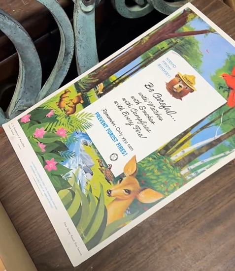 Memo From Smokey the Bear Prevent Forest Fires Cardboard Sign