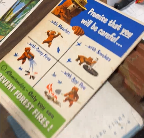 Smokey the Bear Only You Can Prevent Forest Fires Cardboard Sign